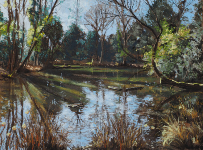 Pastellbild, Softpastelle von Schmincke auf Mi-teintes Papier, 2003